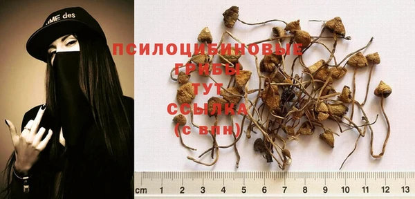 амфетамин Аркадак