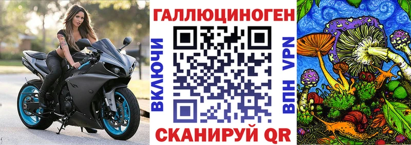 Псилоцибиновые грибы прущие грибы  Ряжск 